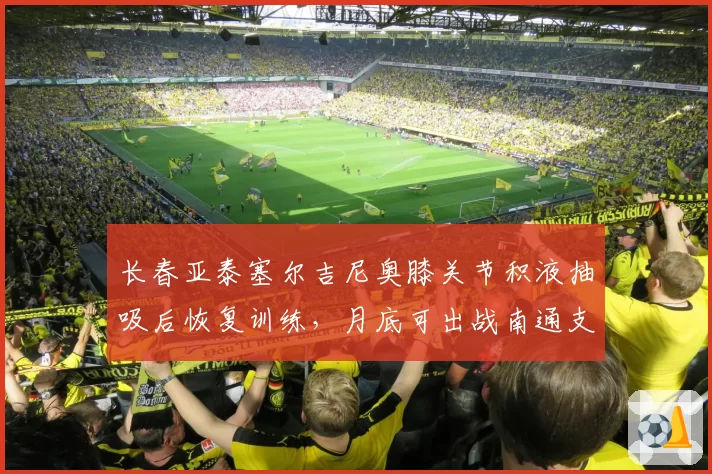 长春亚泰塞尔吉尼奥膝关节积液抽吸后恢复训练,月底可出战南通支云