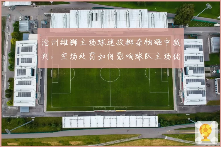 沧州雄狮主场球迷投掷杂物砸中裁判，空场处罚如何影响球队主场优势？
