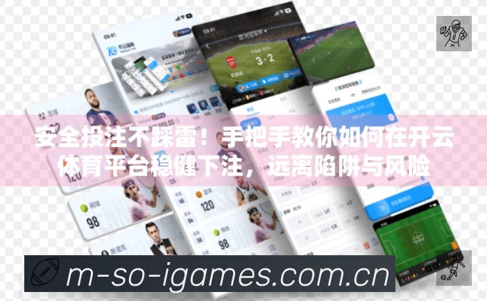 看点解析
